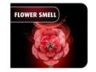 Revell Holzblumen Dream of Roses Holzbausatz / 631