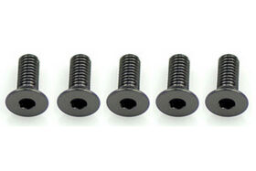Alloy Csk Hex Screws M3 x 8 pk10 / CR311