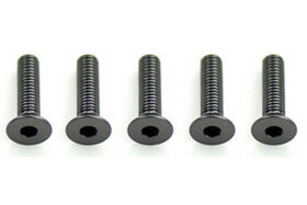 Alloy Csk Hex Screws M3 x 12 pk10 / CR313