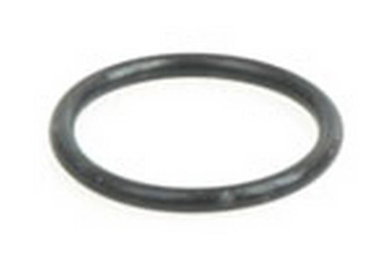O-Ring für Starterplatte (1) - 18 / G69011