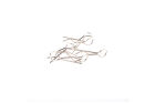 Body Pin / PBD3042