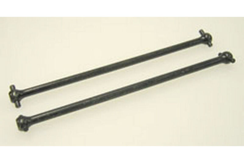 Dog Bone - Raptor / PMA2056