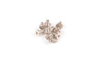 M5x10 Engine Mnt Screws-10pk / PNP0077