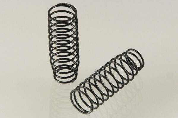 Big Bore Feder 2.5 - lang (2) / U3684