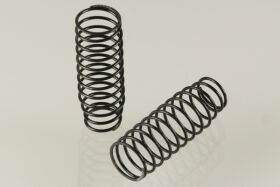 Big Bore Feder 2.5 - lang (2) / U3684