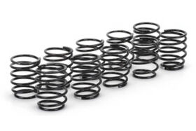 Big Bore Federn Set Tourenwagen (5 Paar) / U3776