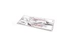 Chassis Skin with Holes - Cougar Laydown / U8004