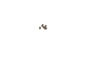 Schumacher Set SPEED (5 Stück) - M2.5x4 Cone Grub...