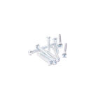 Schumacher Set SPEED (10 Stück) - M3x22 Pan Pozi / U8982