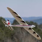 E-flite Conscendo 2.0m Segler PNP / EFL32275