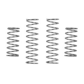 Team Associated Model 24 Shock Spring Set, Medium, Silver...