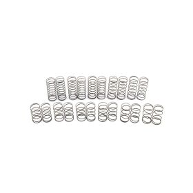 Avid RC 13mm Precision Carpet Springs | F/R Set /...