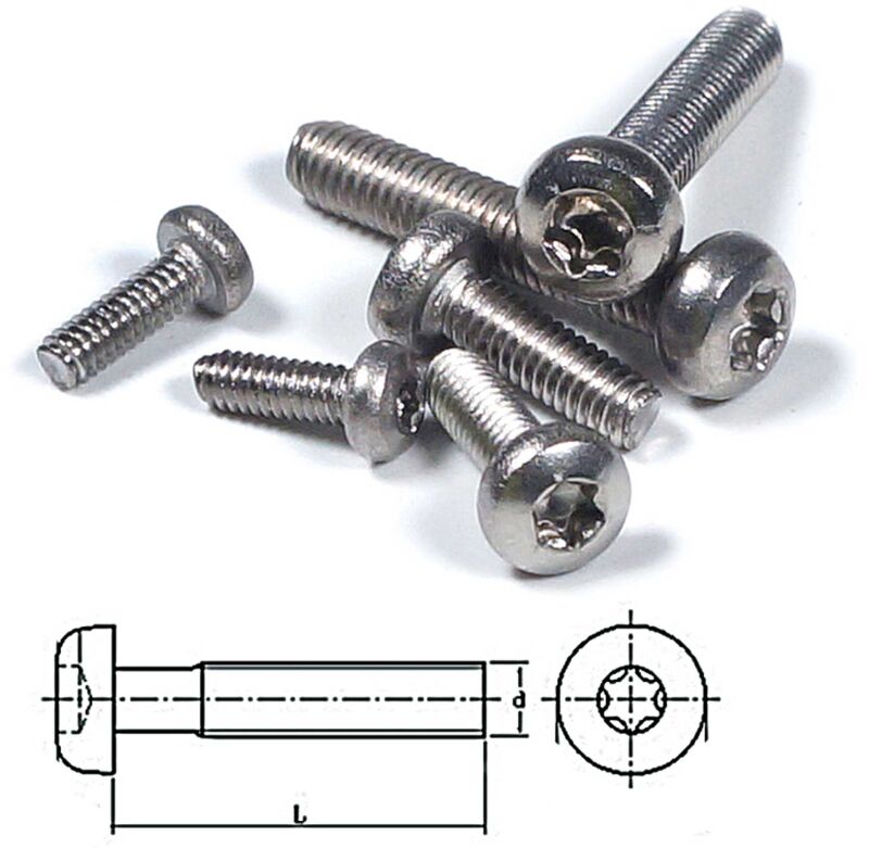 Robbe Modellsport Rundkopfschrauben TX Edelstahl (T6)