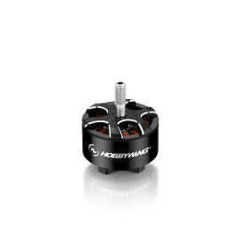 Hobbywing XRotor 2812 D34x25 D5 6s Lipo