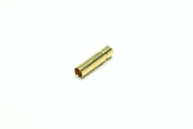 Pichler Goldbuchse
