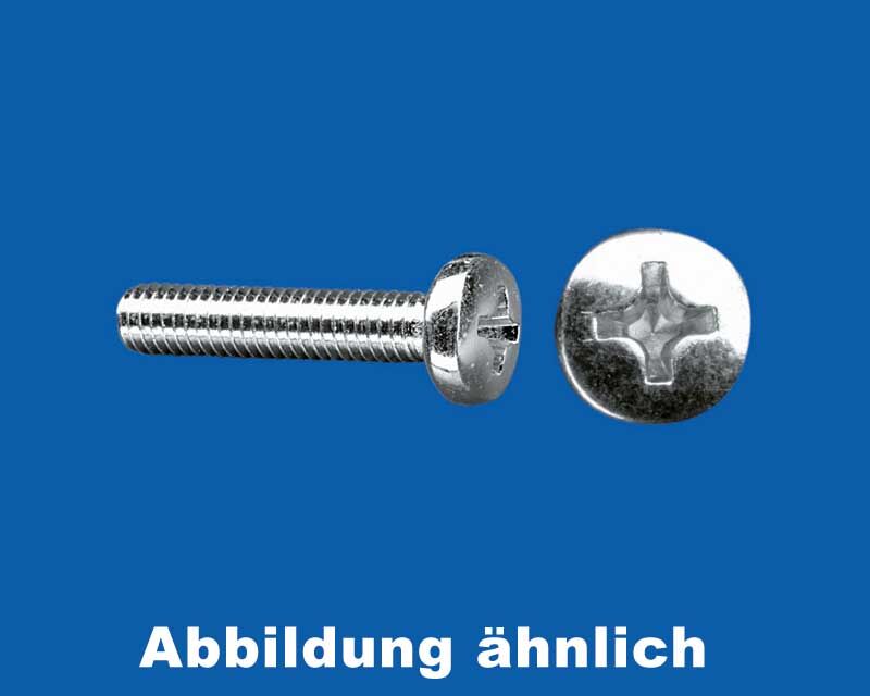 Krick Zylinderschrauben M2 10Stk