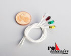 Romarin Glühlampen 6V D3 mm VE2