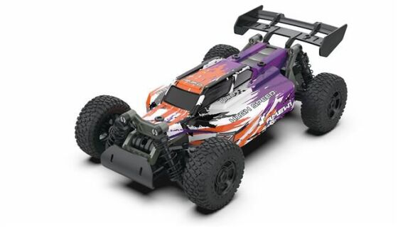 Race Buggy / 22575